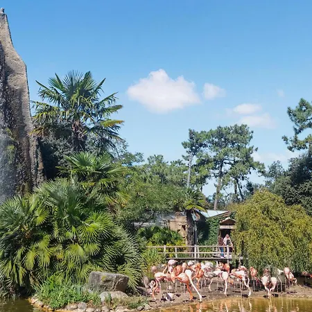 Awesome In Сен-Жорж-д'Олерон