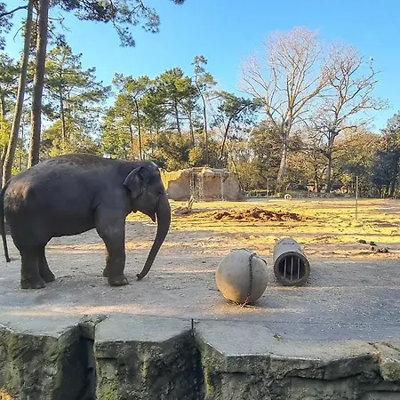 Awesome In * Сен-Жорж-д'Олерон