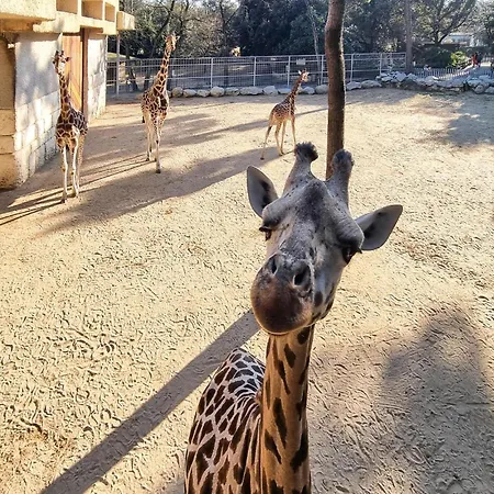 Сasa de vacaciones Awesome In *